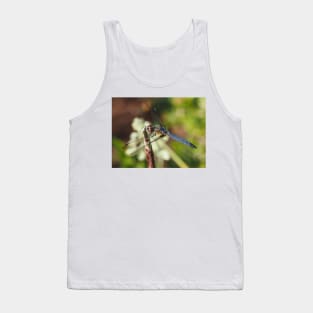 Blue dasher dragonfly (Pachydiplax longipennis) Tank Top